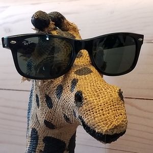 Ray Ban Unisex Sunglasses with Case